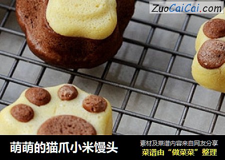 萌萌的猫爪小米馒头