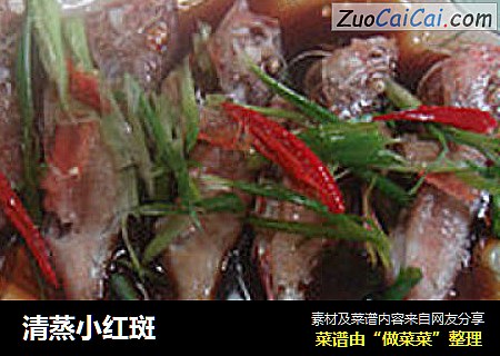 清蒸小红斑