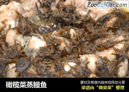 橄榄菜蒸鳗鱼