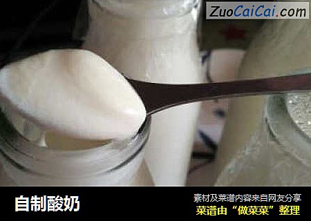 自制酸奶