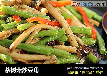 茶树菇炒豆角