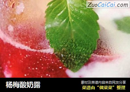杨梅酸奶露