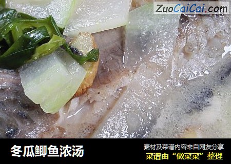冬瓜鲫鱼浓汤