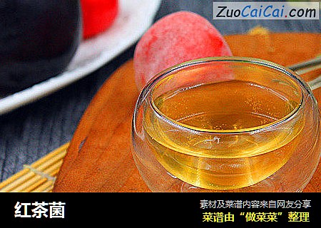 红茶菌
