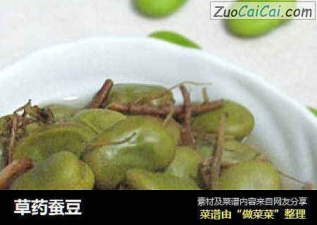 草药蚕豆