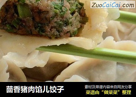 茴香猪肉馅儿饺子