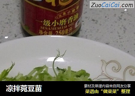 凉拌菀豆苗