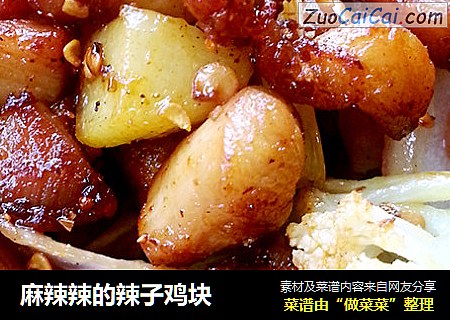 麻辣辣的辣子鸡块