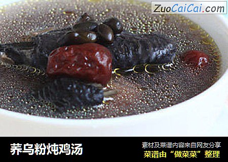 荞乌粉炖鸡汤