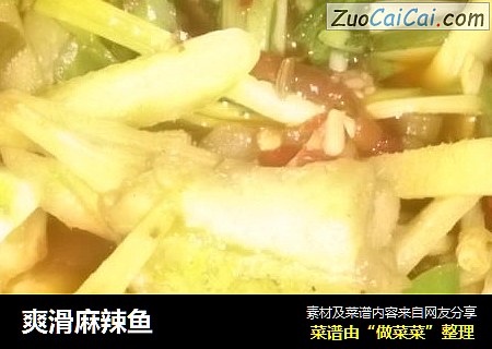 爽滑麻辣鱼
