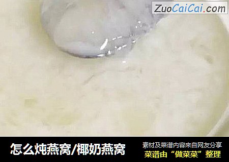 怎么炖燕窝/椰奶燕窝