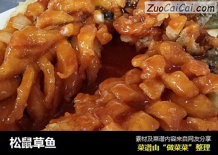 松鼠草鱼