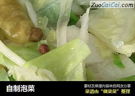 自制泡菜