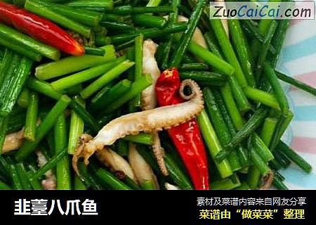 韭薹八爪鱼