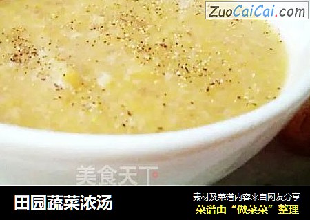 田园蔬菜浓汤