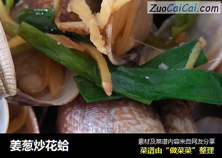 姜葱炒花蛤