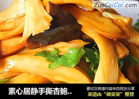  素心居静手撕杏鲍菇，夏天解暑凉菜靠它了