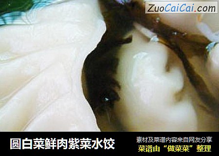 圆白菜鲜肉紫菜水饺