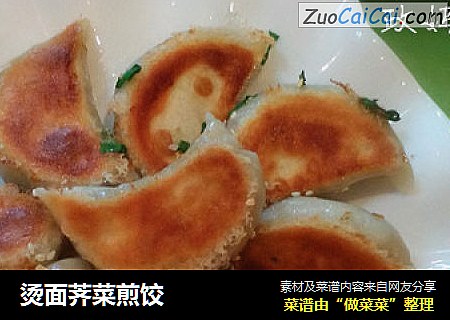 烫面荠菜煎饺