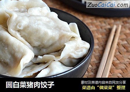圆白菜猪肉饺子