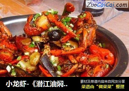 小龙虾-《潜江油焖大虾》