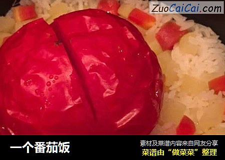 一个番茄饭