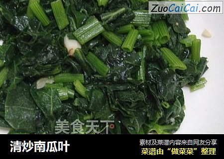 清炒南瓜叶