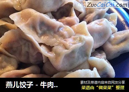 燕儿饺子 - 牛肉胡萝卜馅