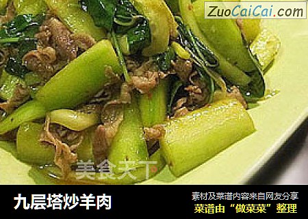 九层塔炒羊肉