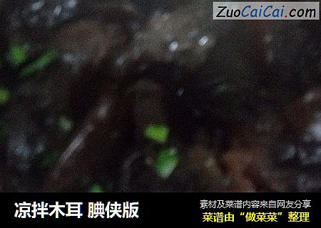 凉拌木耳 腆侠版