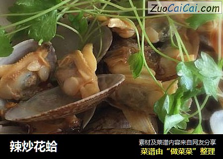 辣炒花蛤