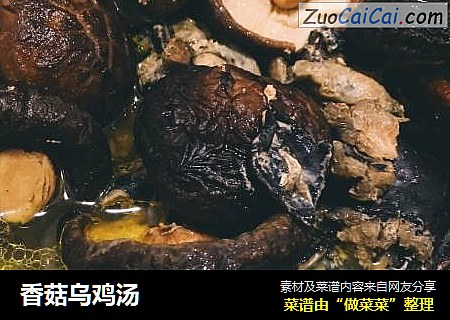 香菇乌鸡汤