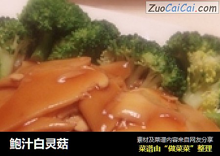 鲍汁白灵菇