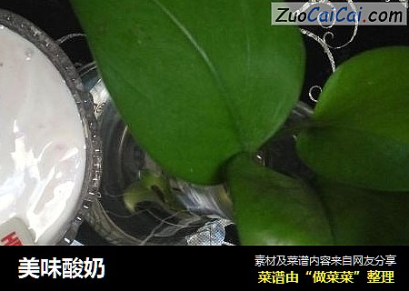 美味酸奶