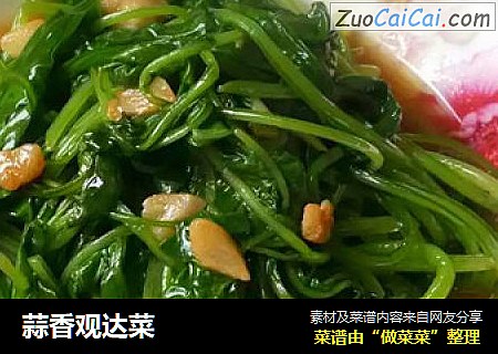 蒜香观达菜