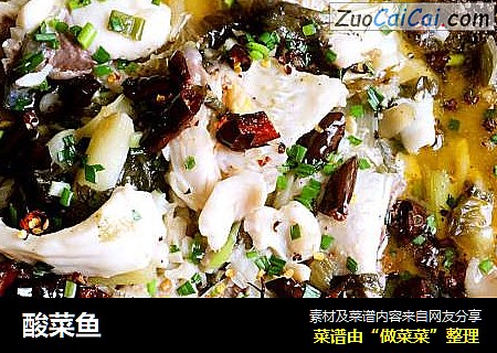 酸菜鱼