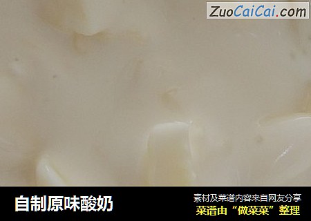 自制原味酸奶