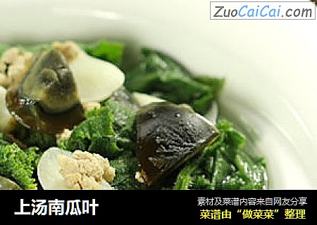 上汤南瓜叶