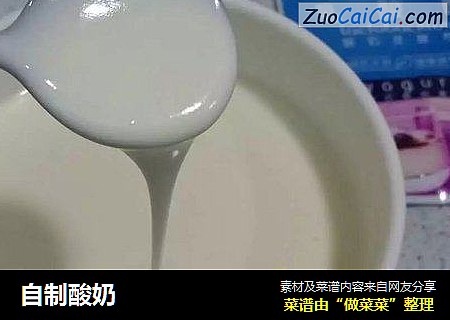 自制酸奶