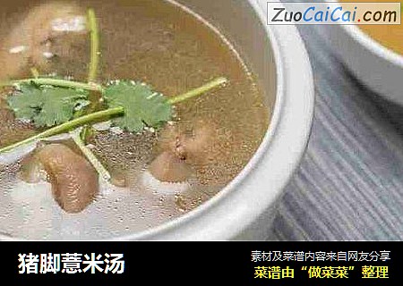 猪脚薏米汤