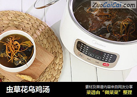 虫草花乌鸡汤