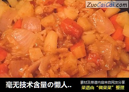 毫无技术含量の懒人咖喱焖饭