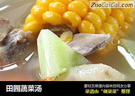 田园蔬菜汤