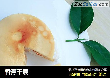 香蕉千层