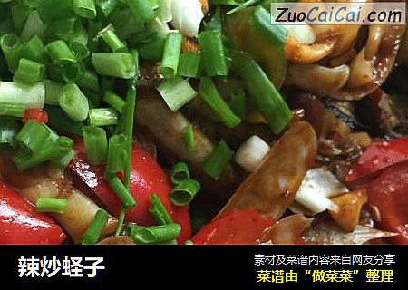 辣炒蛏子