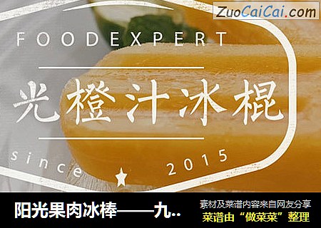 阳光果肉冰棒——九阳知食
