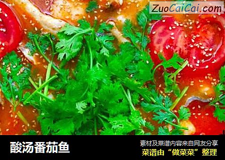 酸汤番茄鱼