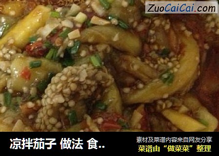 凉拌茄子 做法 食谱    ——味湶美食汇