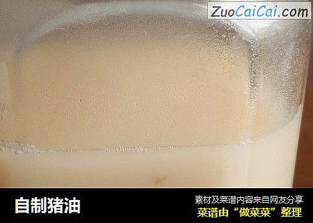 自制猪油