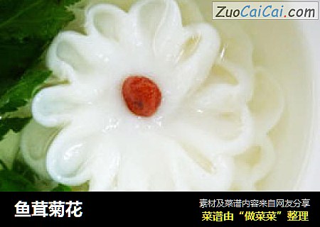 鱼茸菊花